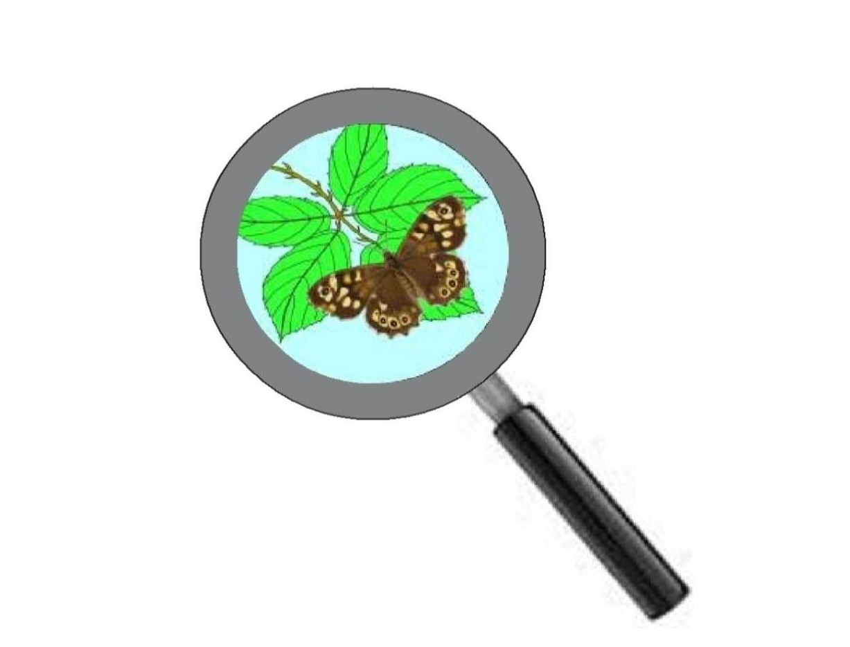 Datasearch helps you undertake ecological desk studies and obtain specialist species reports from the primary biological record databases for the county