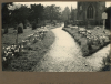 Debden Church Path with daffodils 1940s  