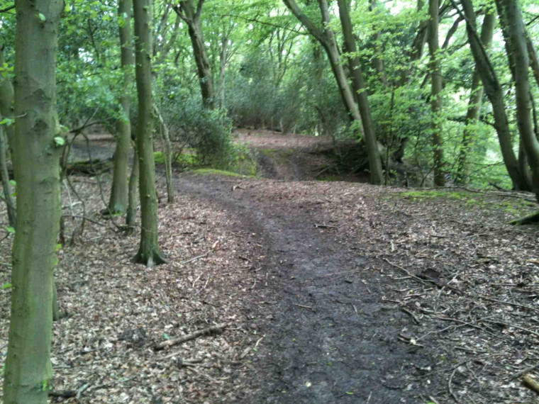 Wintry Wood Brick Pit 2 Copyright: Gerald Lucy