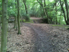 Wintry Wood Brick Pit 2 