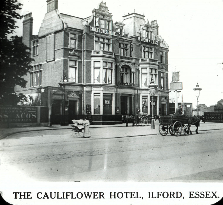 Ilford Cauliflower Hotel Magic Lantern Slide Copyright: Magic Lantern Slide