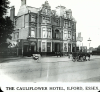 Ilford Cauliflower Hotel Magic Lantern Slide 