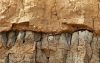 Walton on the Naze Loess Deposit resting on slope deposit 