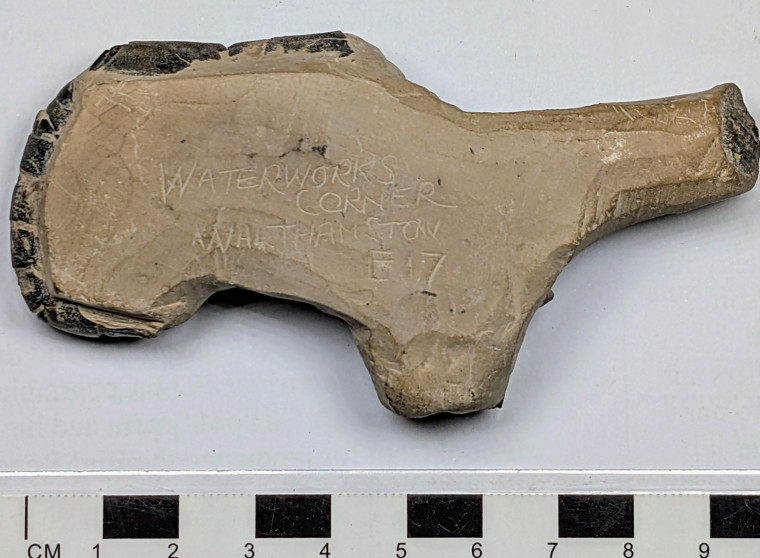 Fossil Lobster from London Clay with scratched text Copyright: Mike Daniels Collection