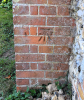 Wakes Colne Church Bench Mark 13 September 2024 