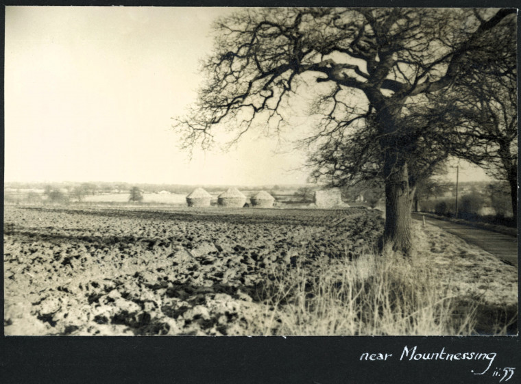 Mountnessing Haystacks Photograph Album 1955 Copyright: Photograph Album