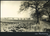 Mountnessing Haystacks Photograph Album 1955 