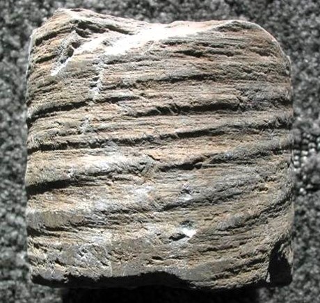 Stutton Bore Core Fragment with grooves Copyright: William George