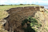 Pleistocene Gravels The Naze Walton on the Naze 