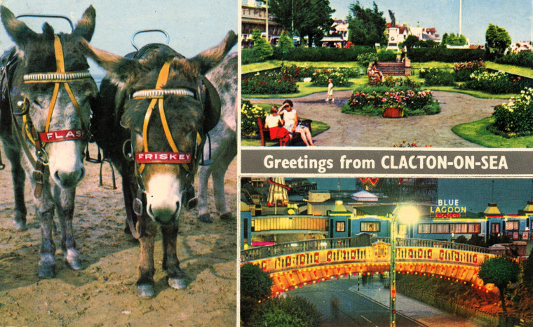 Clacton on Sea Multiview with Donkeys Copyright: William George