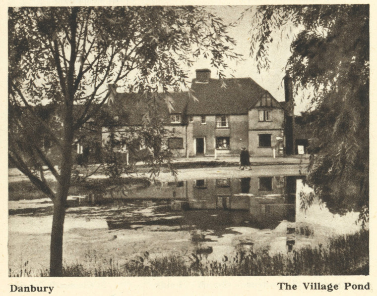 Danbury The Village Pond Arthur Mee 1942 Copyright: Arthur Mee 1942