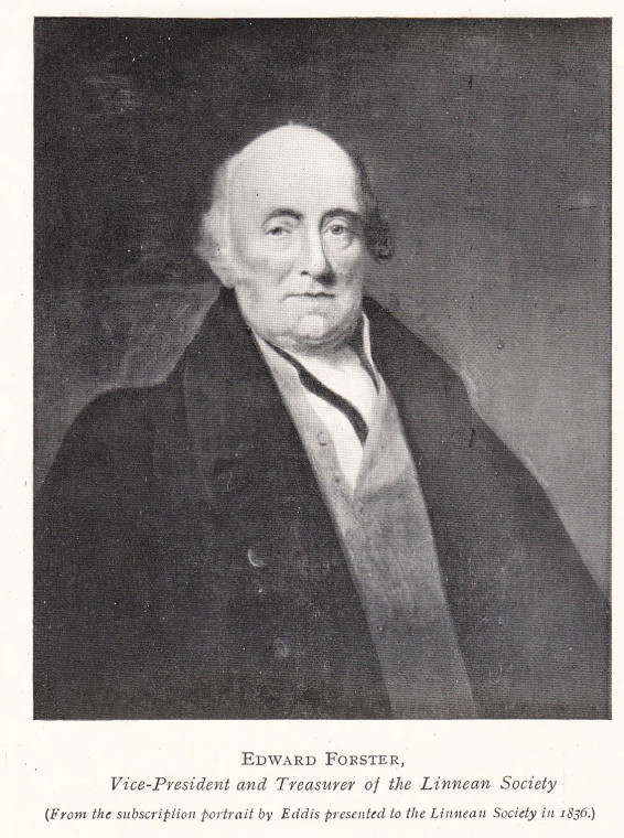Edward Forster 1765 to 1849 Botanist Copyright: William George