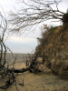 The Naze Cliff Walton on Naze Erosion 