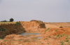 Fingringhoe Wick Nature Gravel Pit View 