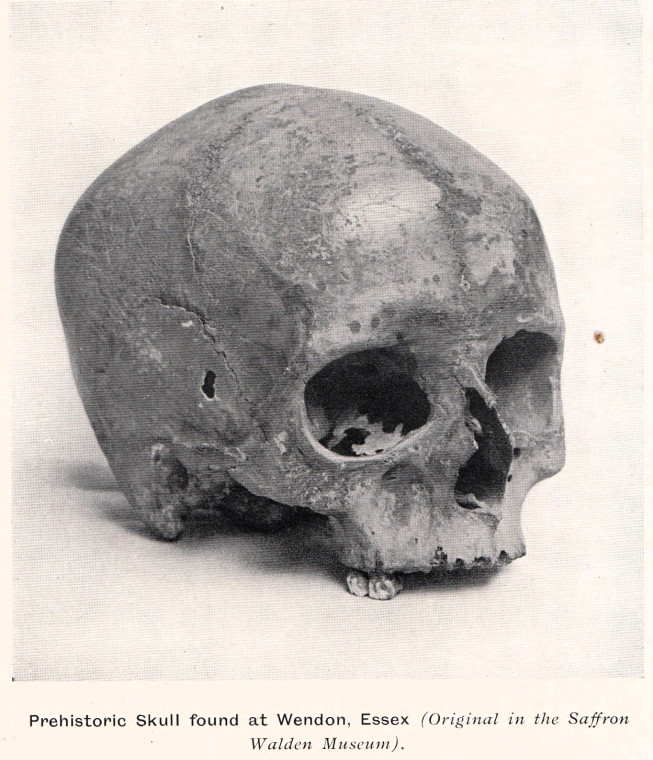 Wendon Prehistoric Skull Copyright: William George