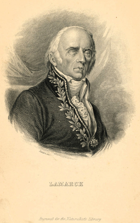 Jean Baptiste Lamarck 1744 to 1829 Naturalist Post Card Copyright: Martin Venables via David Bone