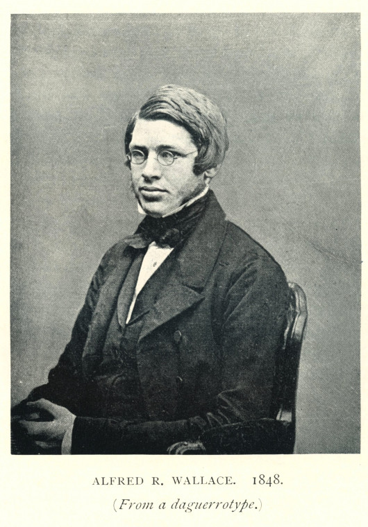 Alfred Russel Wallace 1823 to 1913 Naturalist 1848 Copyright: Photograph