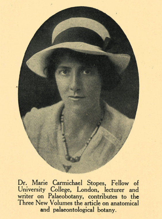 Marie Carmichael Stopes 1880 to 1958 Palaeobotanist Clipping Copyright: Martin Venables via David Bone