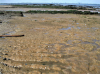 Walton on the Naze Loess Deposit exposed on foreshore 