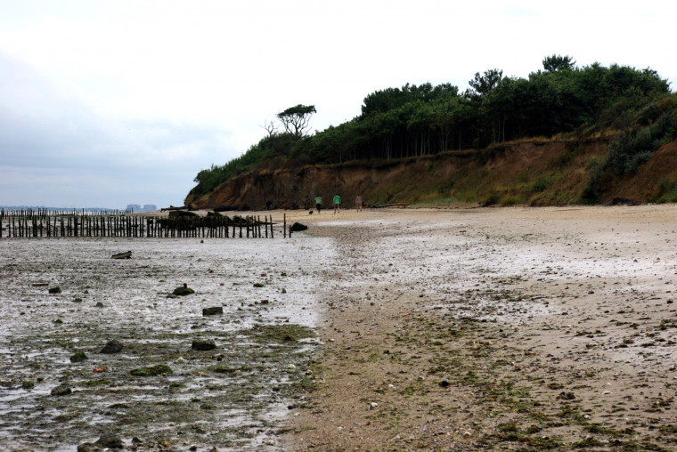 Cudmore Grove Cliff East Mersea Copyright: William George