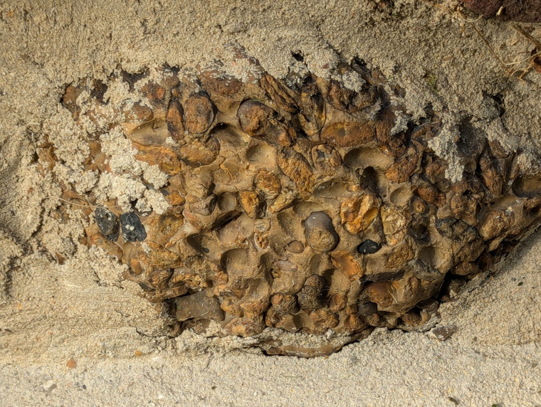 Little Easton church brown Hertfordshire Puddingstone Copyright: William George