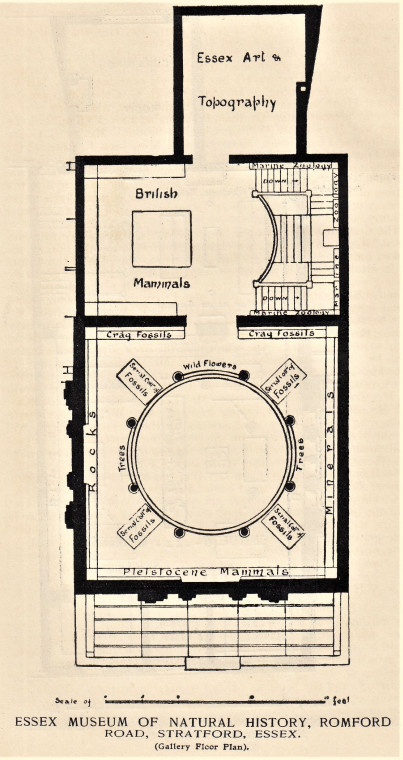 Passmore Edwards Museum Gallery Floor Plan Romford Road Copyright: William George
