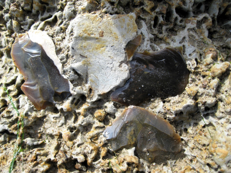 Walton on the Naze in situ flint flakes detail Copyright: William George