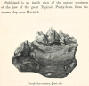 Coryphodon eocaenus fossil inside  view of lower jaw 1845 image  