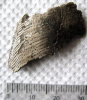 Amylodon eocaena chimaeroid plate with tritors Walton on Naze 