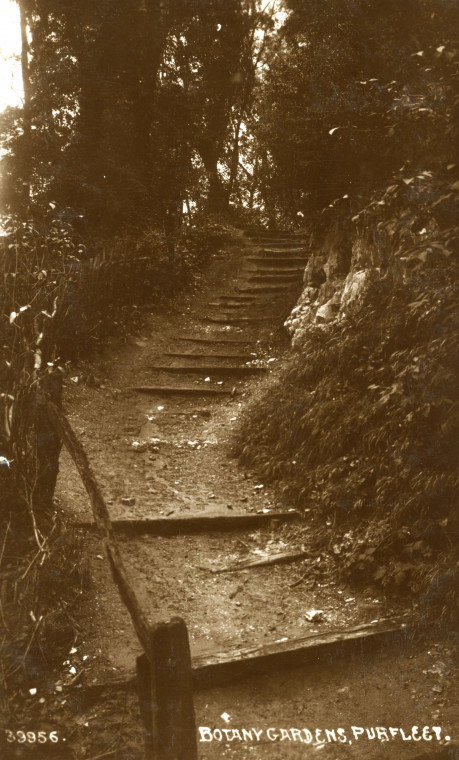 Purfleet Botany Gardens Steps Post Card Copyright: Post Card