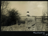 Mountnessing Windmill Photograph Album 1955 