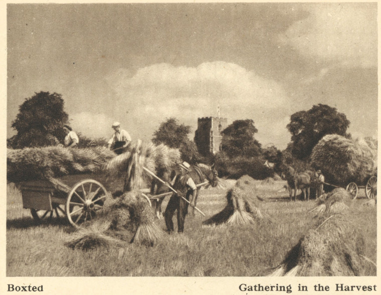 Boxted Gathering the Harvest Arthur Mee Essex 1942 Copyright: Arthur Mee 1942