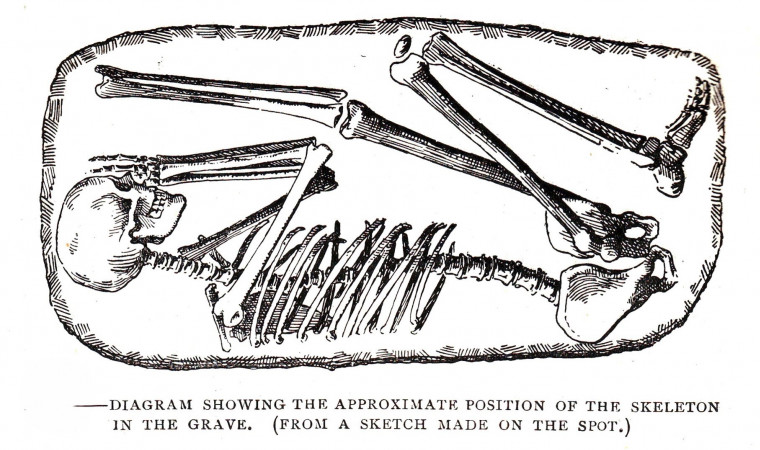 Walton on the Naze Human Skeleton plan Copyright: William George