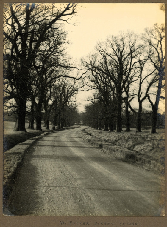 Potter Street near Harlow Road Copyright: Photograph Album