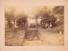 Loughton Camp Excavation Photograph 1883