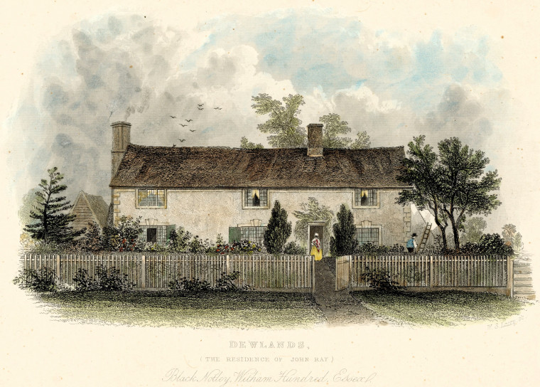 Black Notley Dewlands Print Residence of John Ray Copyright: William George