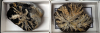 Fossil sponges preserved in flint 