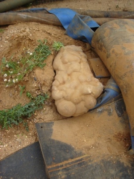 Mammillated sarsen stone found at Goldsands Pit in 2008 Copyright: Chris Green