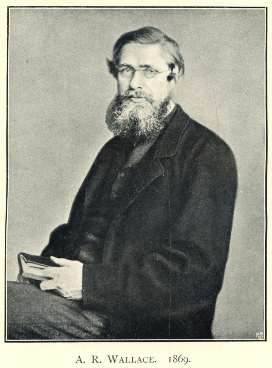 Alfred Russel Wallace 1823 to 1913 Naturalist 1869 Copyright: Photograph