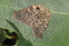 Wall mating pair