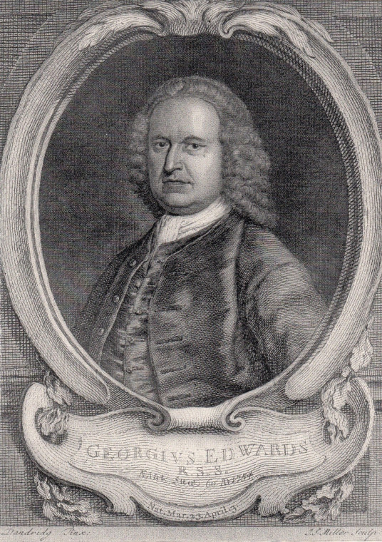 George Edwards 1694 to 1773 Ornithologist Copyright: William George