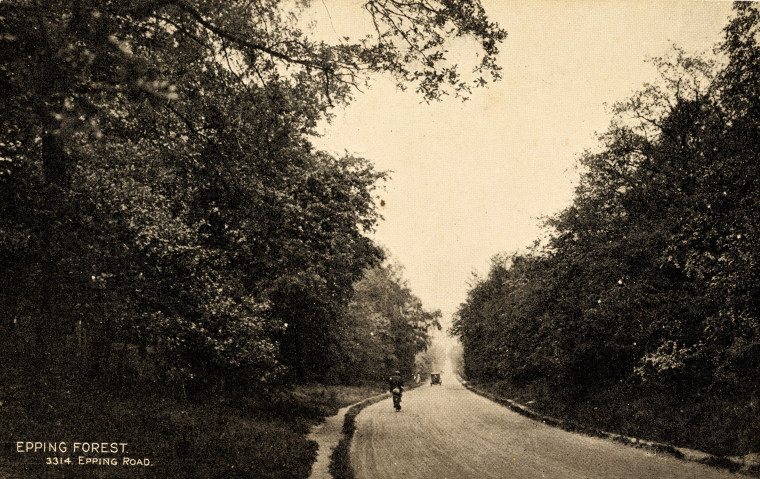 Epping Forest Epping Road Copyright: William George