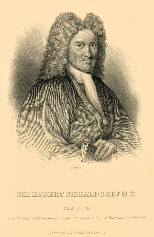 Robert Sibbald 1641 to 1722 Botanist aged 80 Copyright: Martin Venables via David Bone