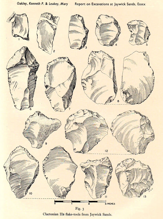 Jaywick Sands Palaeolithic Flint implements Copyright: William George