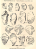 Jaywick Sands Palaeolithic Flint implements 