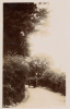 Barking Upney Lane Sepia Post Card Portrait Format 