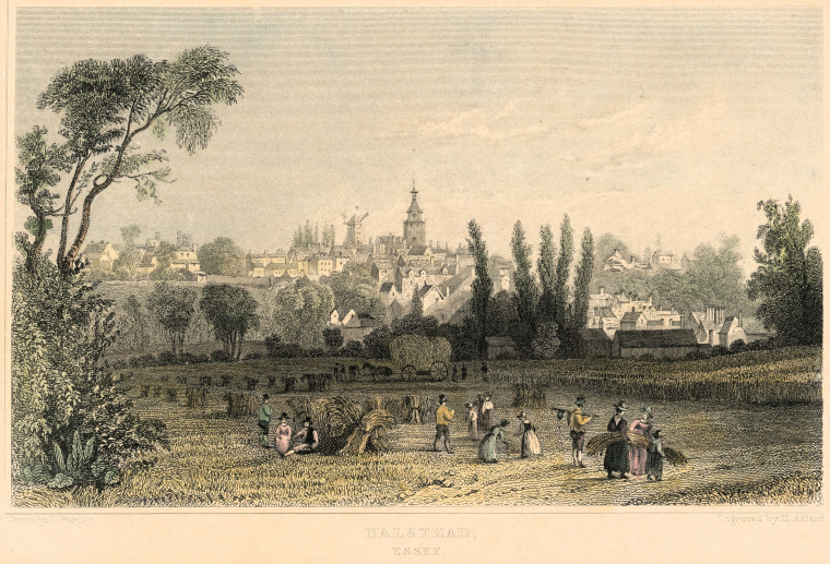 Halstead Engraving View of town 1830s Copyright: W Bartlett