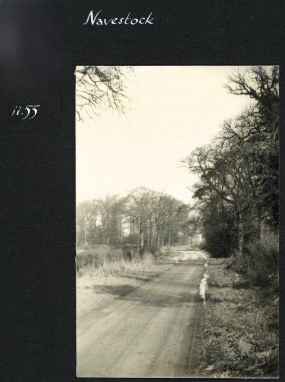 Navestock Lane with trees Photograph Album 1955 Copyright: Photograph Album