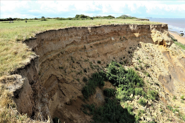 Walton on the Naze Cliff Section showing Pleistocene Deposits Copyright: William George