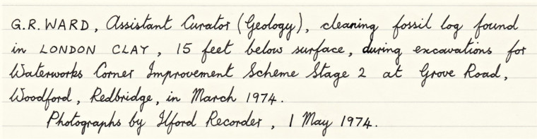 Text for fossil London Clay Log from Redbridge 1974 Copyright: Graham R Ward Archive PEM